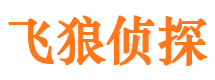 凤台找人公司